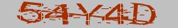 Retype the CAPTCHA code from the image